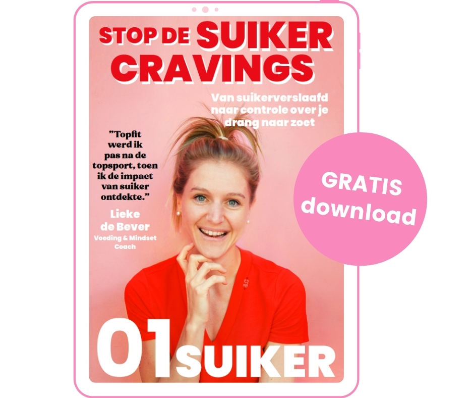 ebook suikervrij leven
